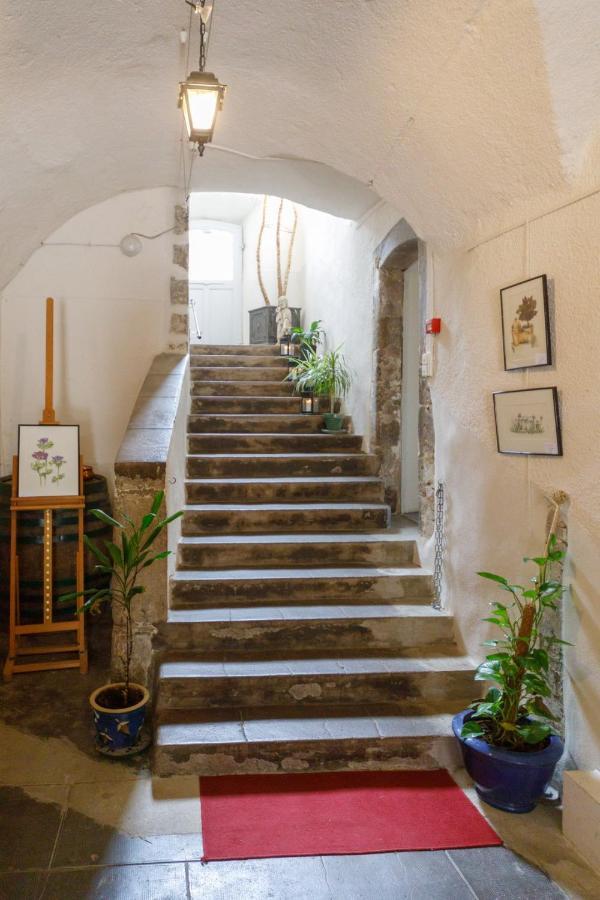 Ermitage Saint Vincent B&B Vieille-Brioude Bagian luar foto